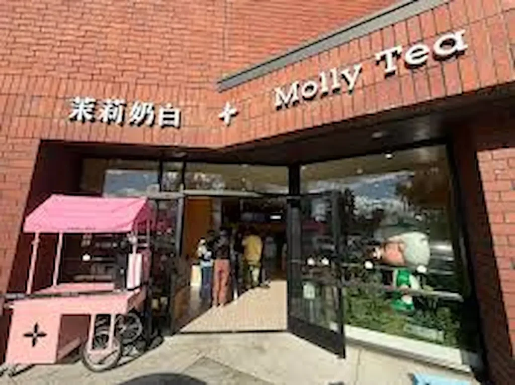 Molly Tea Sunnyvale Menu, Real Prices & Best Drinks