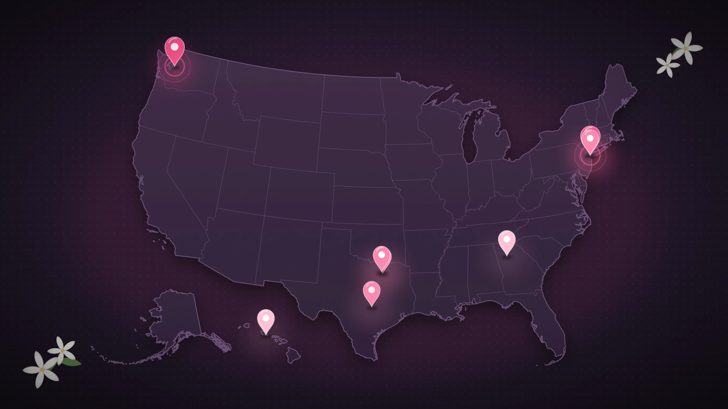 US map with pink pins marking upcoming Molly Tea store openings in Seattle, New York, Texas, Atlanta and Honolulu